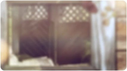 What you need to know and understand about bamboo outdoor privacy screen