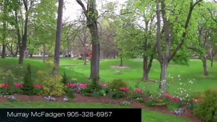 Niagara Video Marketing: Video Marketing is Too Costly!