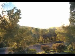 Max Richter - November