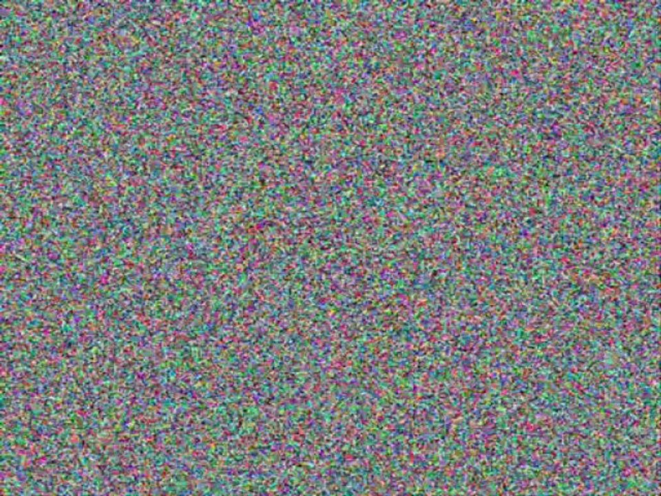 Custom Website Designer Professionals Montreal