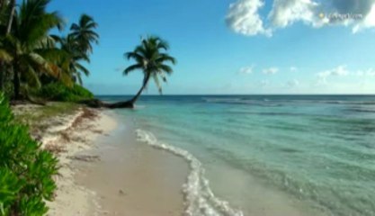 Download Video: Relaxing Sounds of Waves, Tropical Beaches with Ocean Sounds