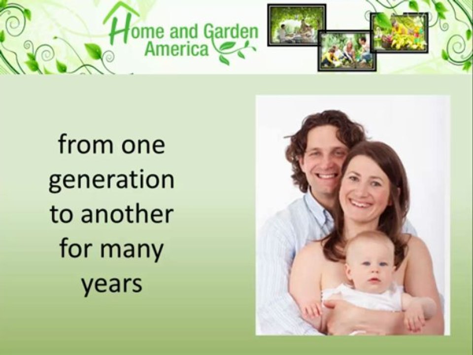 How to Store Heirloom Seeds - Training Video I
