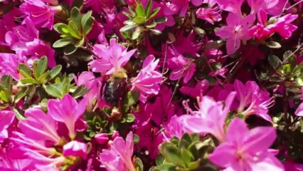 Samsung Galaxy S4: Review - SoldierKnowsBest