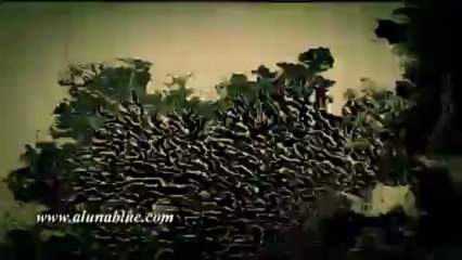 Stock Video - Picture Start 0406 - Video Backgrounds - Video Loops