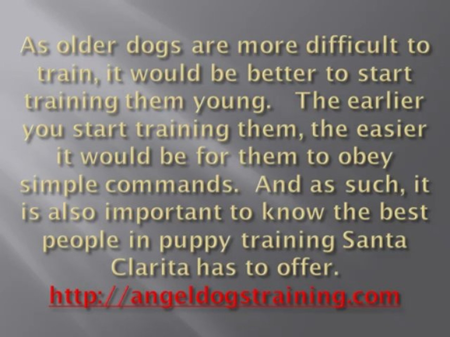 ⁣The Importance of Training Your Dog