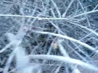 Viendez à Paris, amis de la campagne !