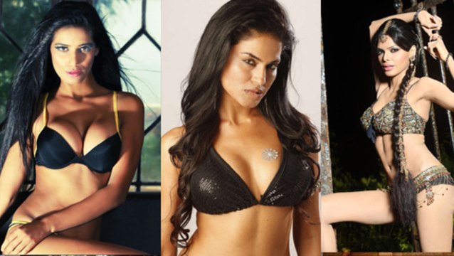 Veena Malik Says Sherlyn Chopra & Poonam Pandey Are Porn Stars !