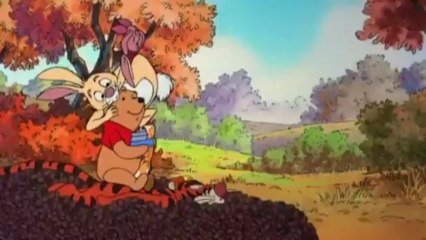 Pogo - Hundred Acre Flurry - Fan Video (1)