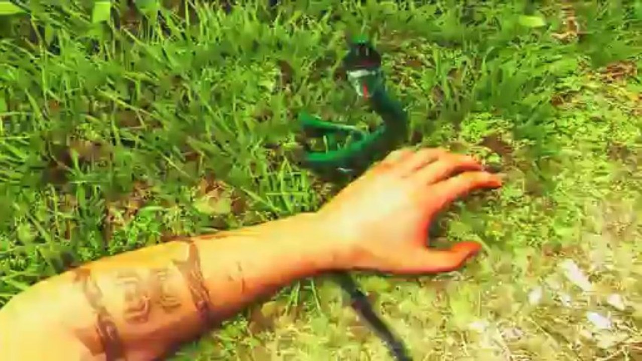 Far Cry 3 Part 32