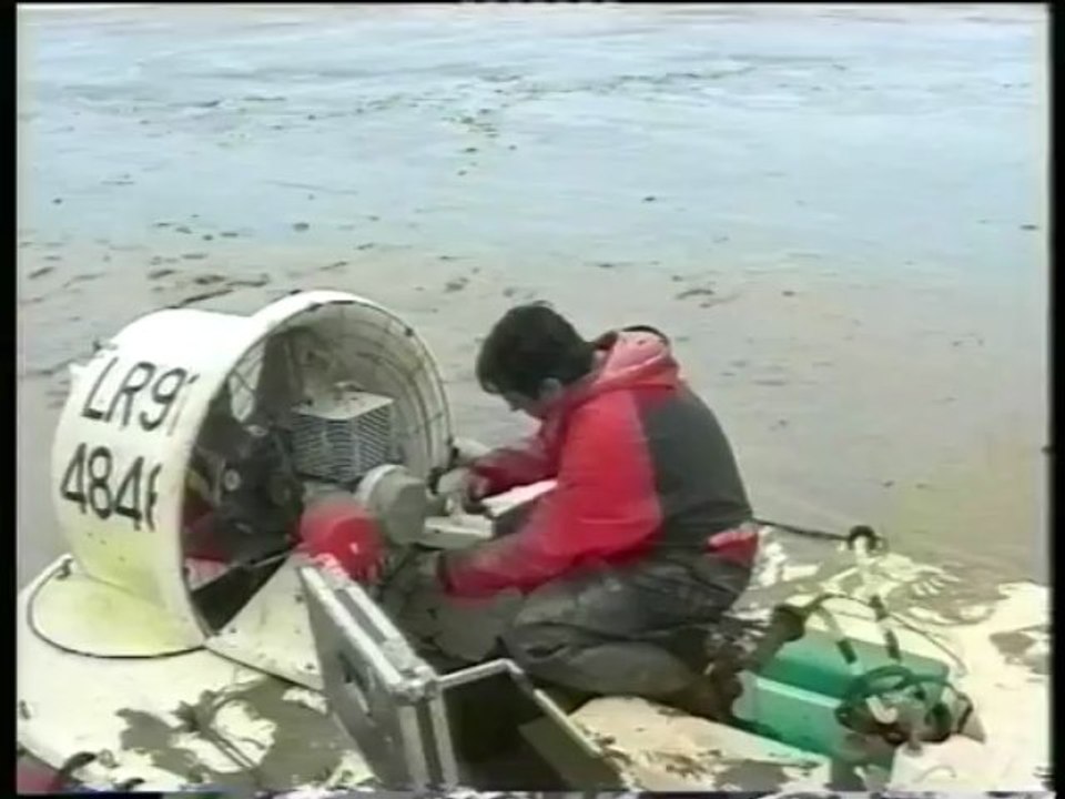 La gadoue (2000)