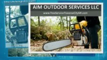 Tree Service Traverse City MI by AIM Outdoor Services LLC
