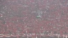 supporters japonais impressionant!!