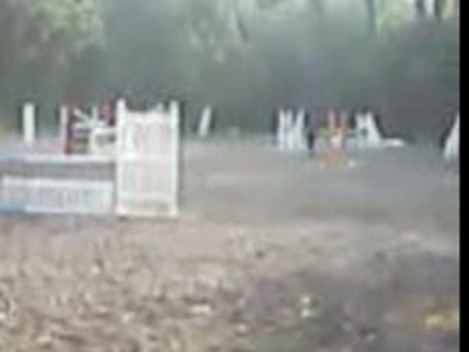 VID006