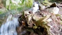 Bief du Saut du Gier - Remise en eau  du 8 mai 2013