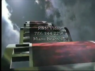 Batting with Ted Williams