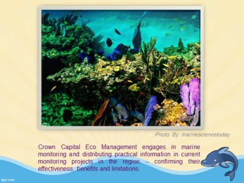Jakarta Capital Environmental Blog: Crown Eco Management - Marine