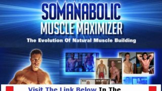 Muscle Maximizer Diet And Training Guide + Is The Somanabolic Muscle Maximizer Legit