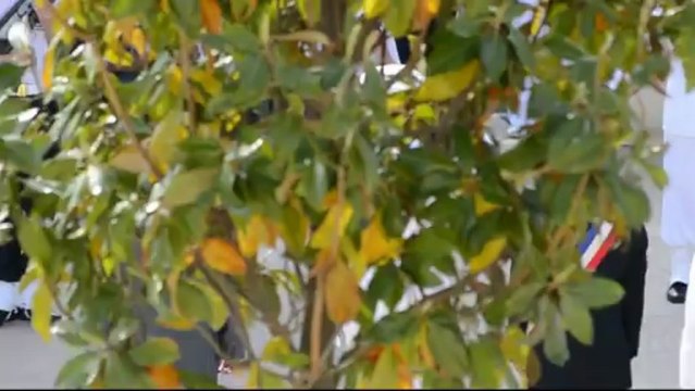 COMMÉMORATION DE L'ARMISTICE DU 8 MAI 1945