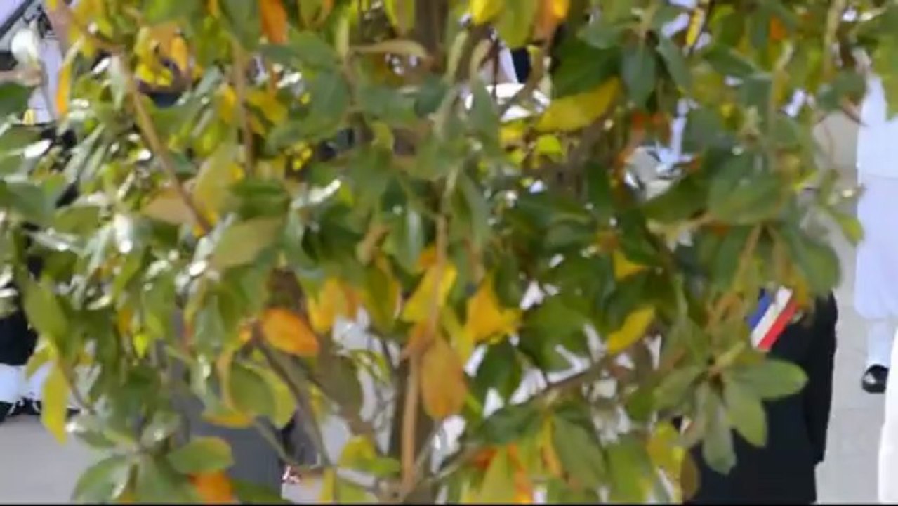 COMMÉMORATION DE L'ARMISTICE DU 8 MAI 1945