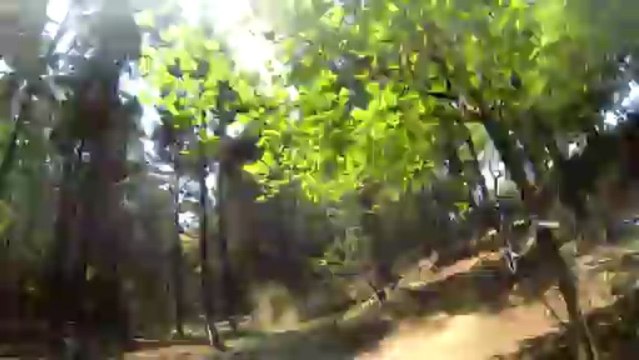 スズキ党さん0506