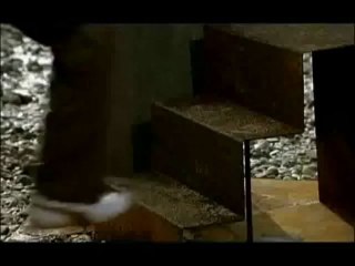 인터넷바카라 ❤卐➳ ✯♛ ☛ GGO233.COM ☚ ♛✯➳ 卐❤ 사설블랙잭