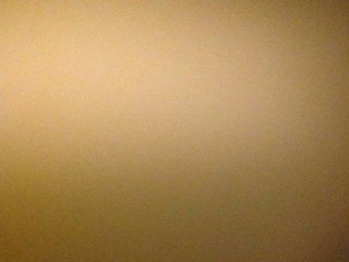 The idea of a painting - Art video project by Soraya Sikander