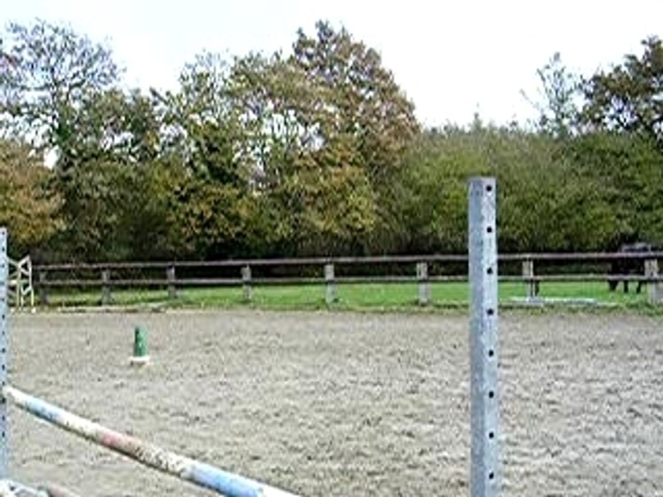 saut3