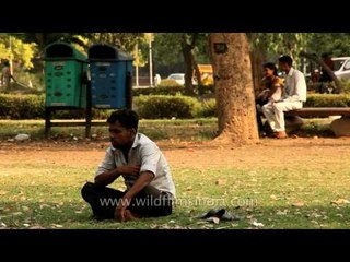 People in the Garden at India Gate, Delhi