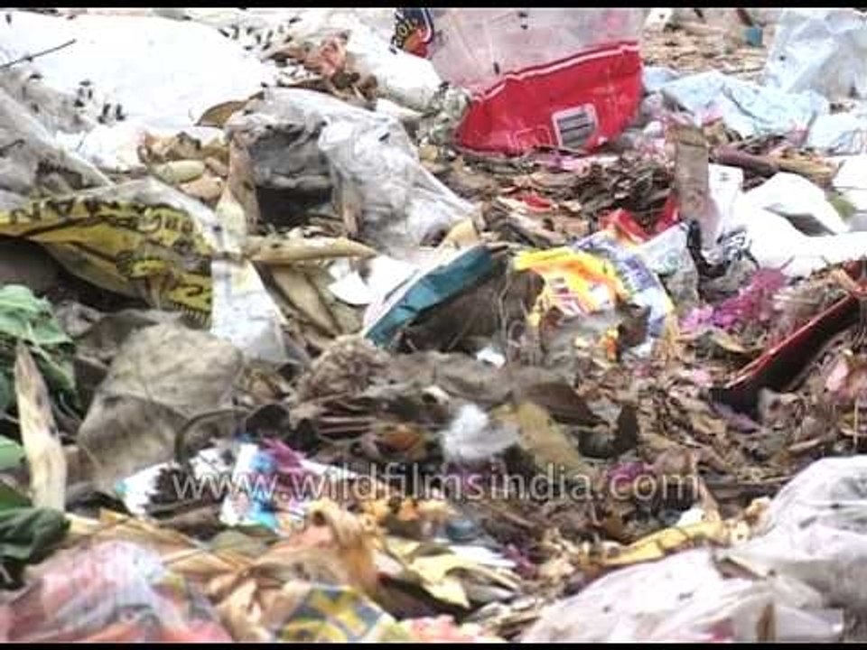 Delhi: Heading towards garbage capital