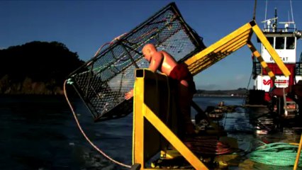 MythBusters fête ses 10 ans en compilation