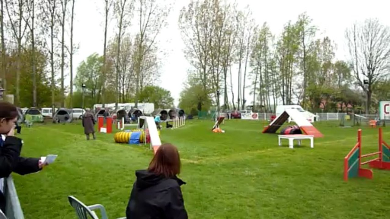 Selectif GPF agility Chelsea 8 mai 2013