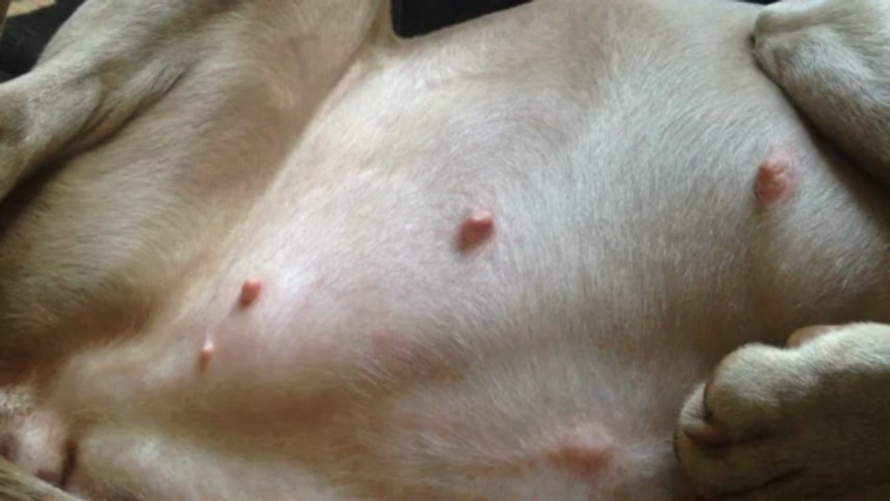 ça bouge là dedans!!!