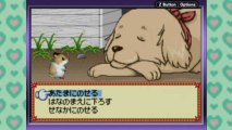 CGR Undertow - HAMSTER PARADISE PURE HEART review for Game Boy Advance