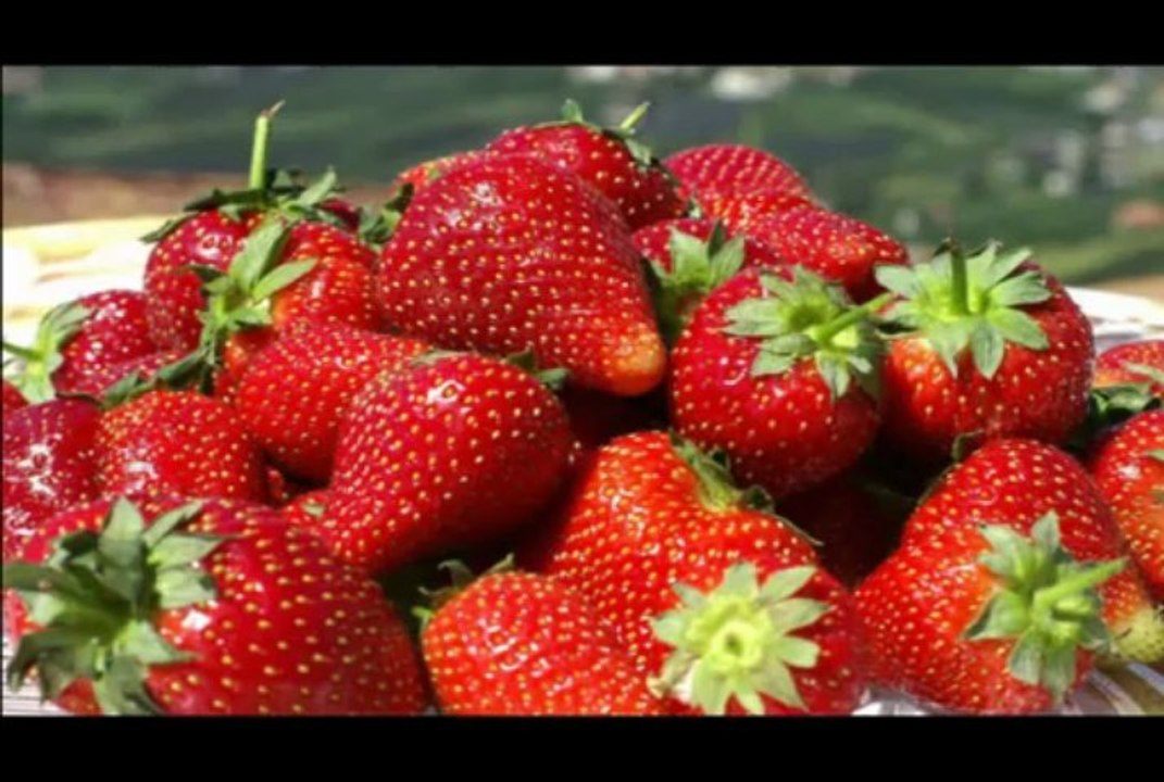 ORKESTRA GÜLTEKİN KAPTAŞ 05321705351,05398683341