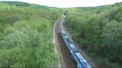 AGC Foret de la Londe