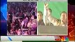 Imran Khan Jalsa v/s Nawaz Sharif Jalsa - Which Jalsa Had Bigger Crowd?