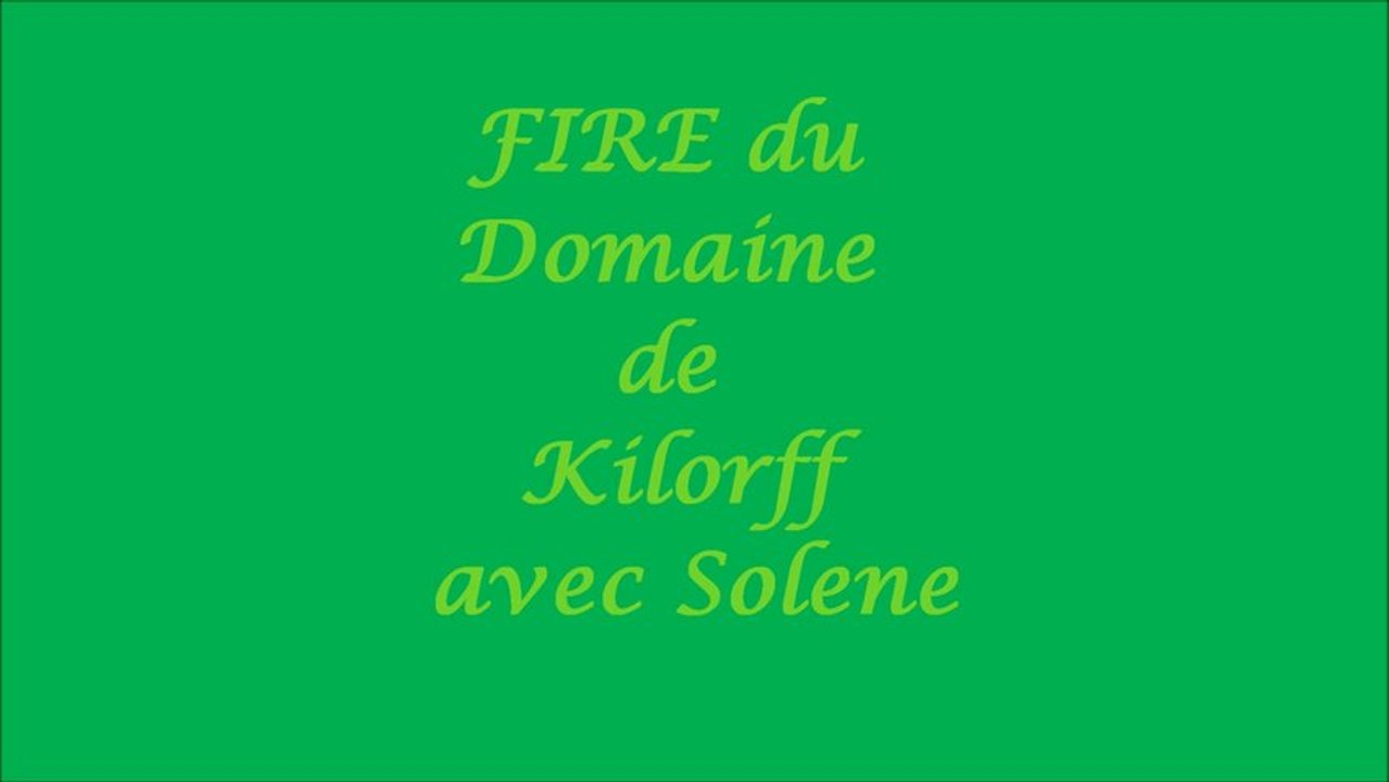 FIRE du Domaine de Kilorff: 1er concours RING 1 le 20 04 2013 à Malesherbes