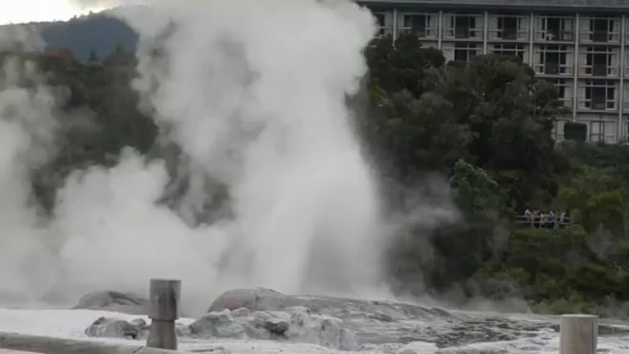 Geyser à Rotorua.