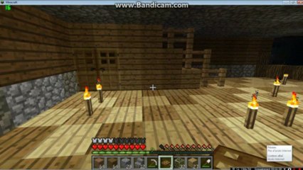 Episode 3 // Construction d'une maison