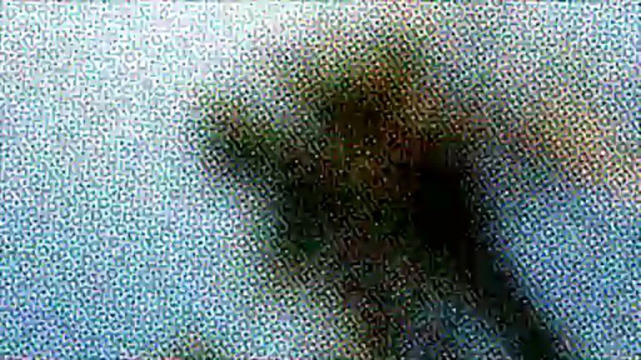 Square avec James Gray à Los Angeles