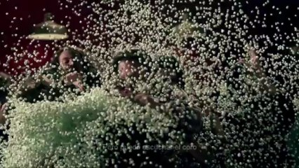 Fun - We are young (Letra Sub Español)