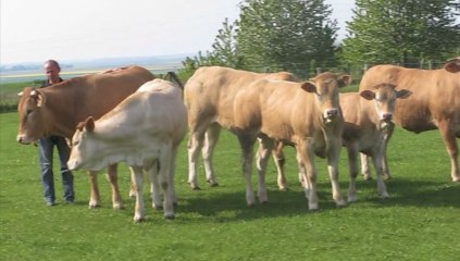 Méry-la-Bataille: l'agriculteur Olivier Varlet ne veut pas être enfermé dans un bureau