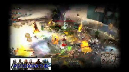 GW2 PSY 13052013
