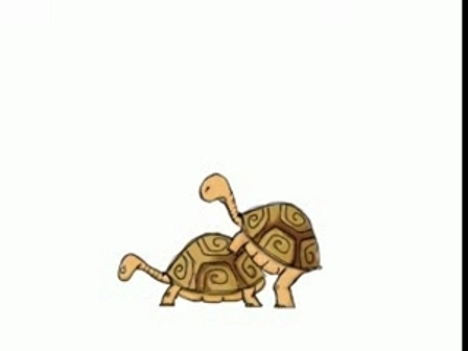 Tortues GSM