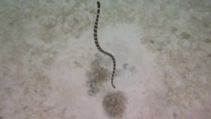 Tricot rayé îlot N'Gé