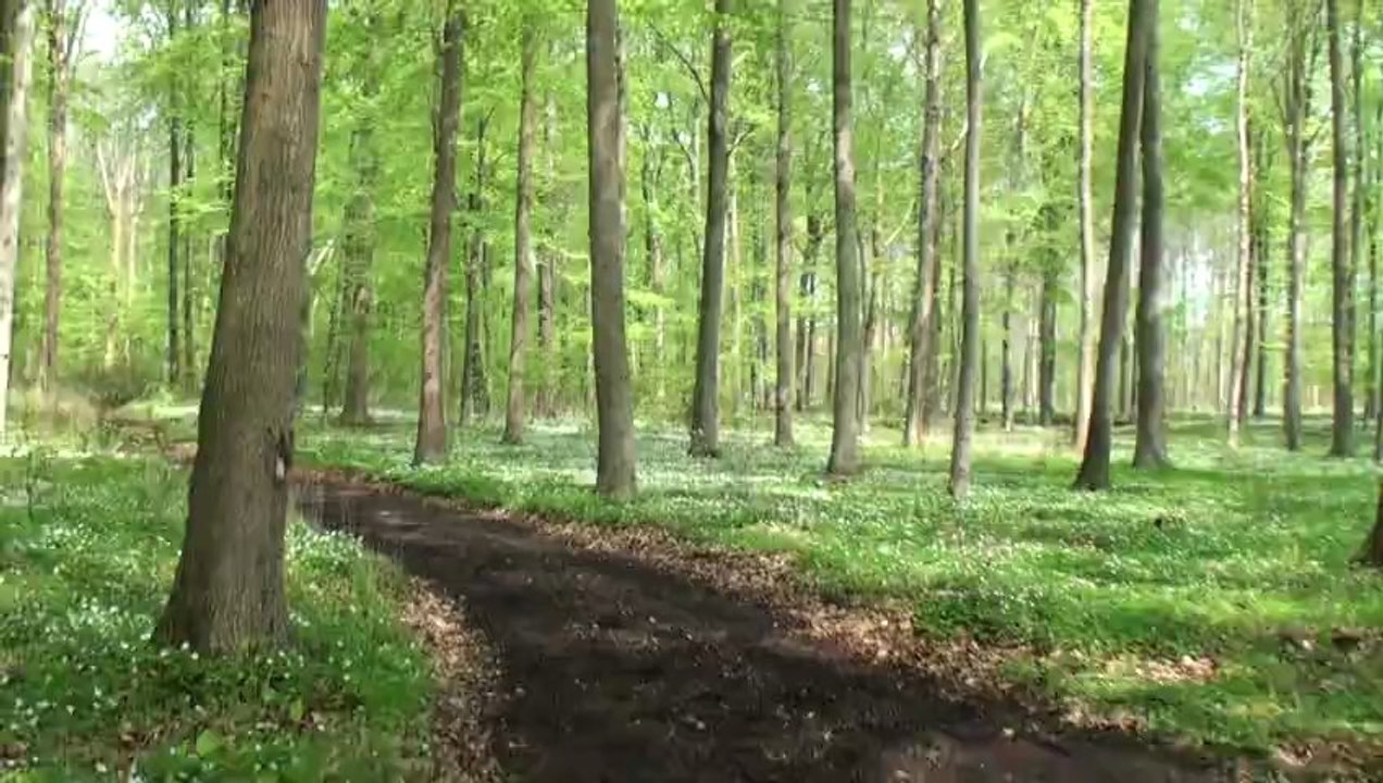 20130509124450