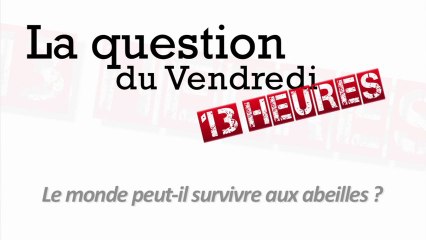 Le monde peut-il survivre aux abeilles ?