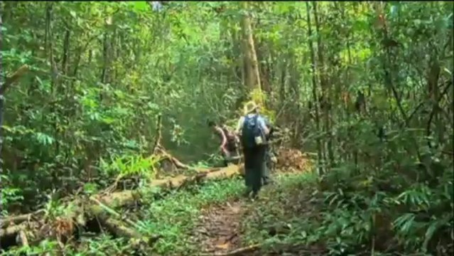 El medi ambient - Mosaic 10/05/13