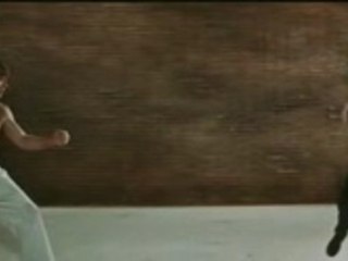 Bruce Lee vs Chuck Norris