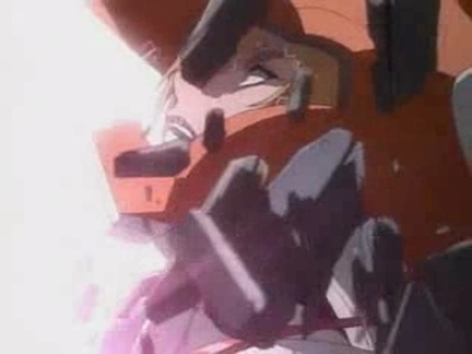 HAINE WESTENFLUSS AMV